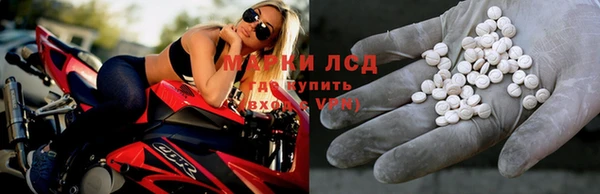 spice Аркадак