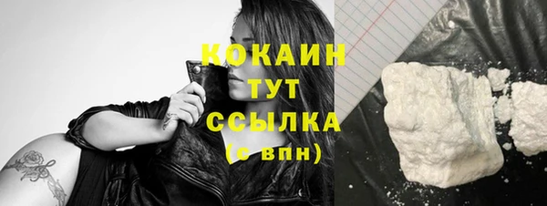 spice Аркадак